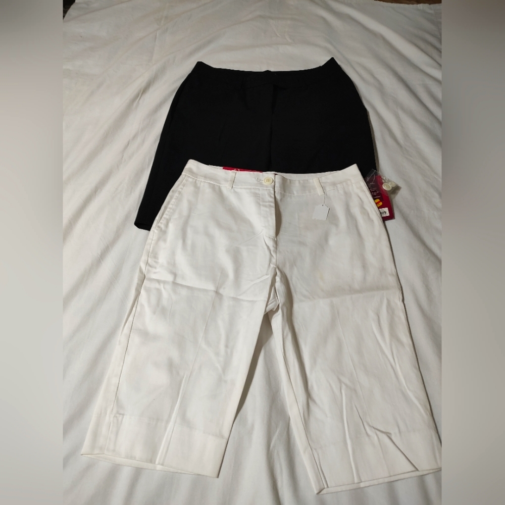 Bermuda Shorts Lot